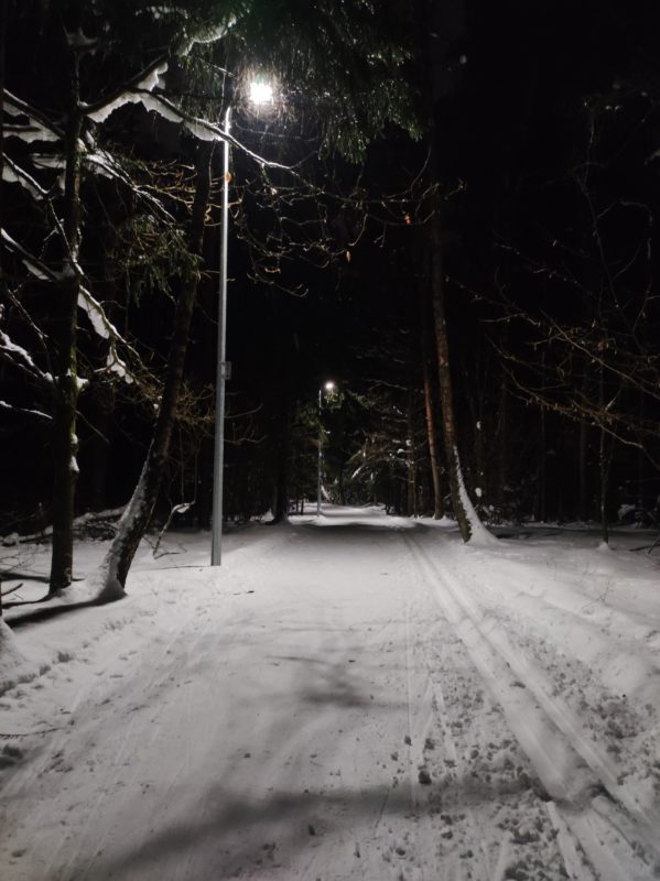 Трасса лыжная Лесная Троицк, состояние на 5 февраля 2024 по отзыву, фото 8. 